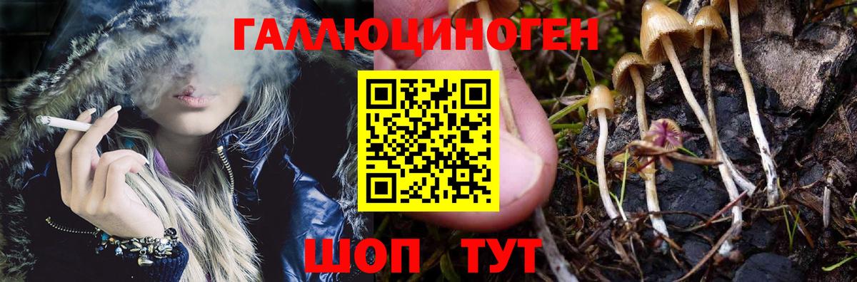 Псилоцибиновые грибы Magic Shrooms Кореновск